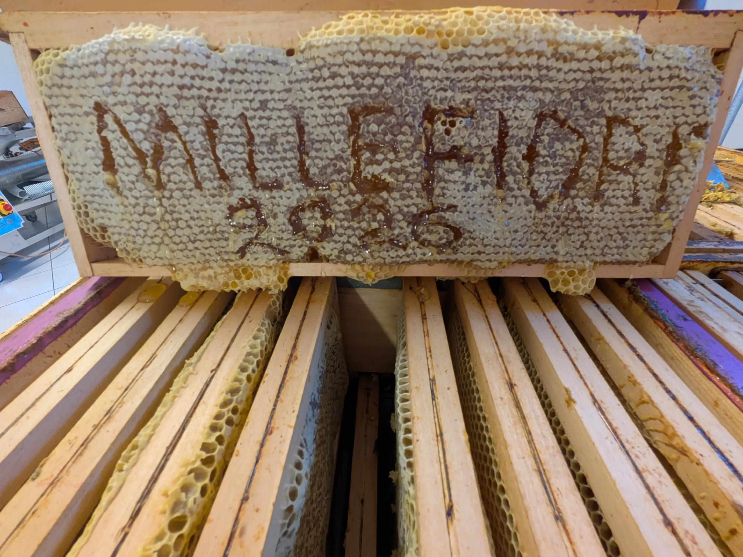 Miele Millefiori - Agosto 2026