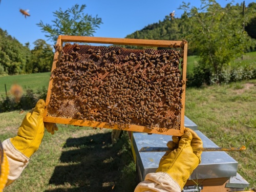 PXL_20250920_092530585